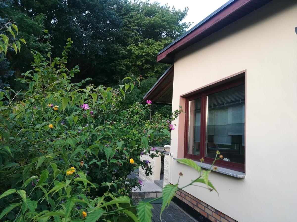 Ferienhaus Am Wald Loissin Екстер'єр фото