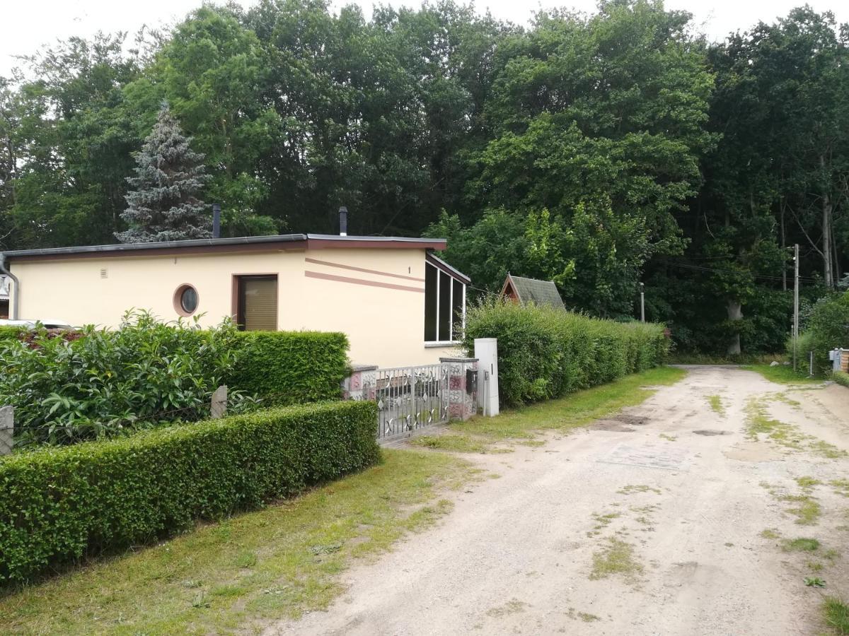Ferienhaus Am Wald Loissin Екстер'єр фото